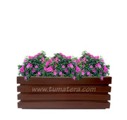 COMBO JARDINERA 100 X 45 CM CON AZALEAS - Tumatera.co