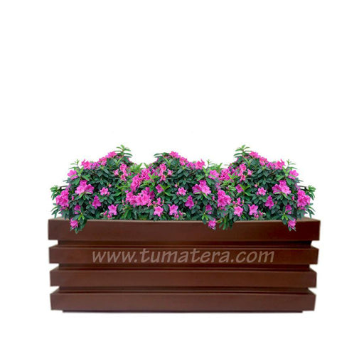 COMBO JARDINERA 100 X 45 CM CON AZALEAS - Tumatera.co
