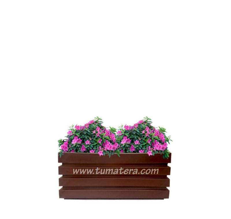 COMBO JARDINERA 70 CM CON AZALEAS - Tumatera.co