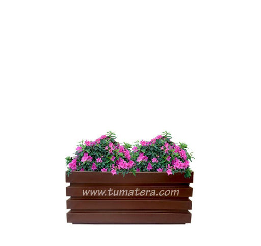 COMBO JARDINERA 70 CM CON AZALEAS - Tumatera.co