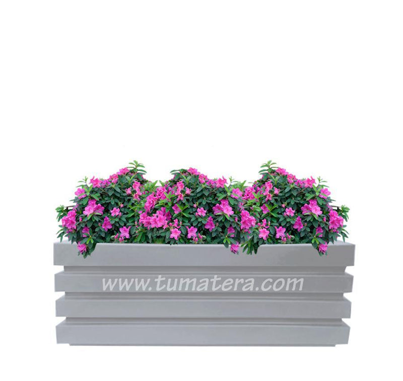 COMBO JARDINERA 100 X 45 CM CON AZALEAS - Tumatera.co