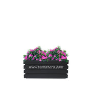 COMBO JARDINERA 70 CM CON AZALEAS - Tumatera.co