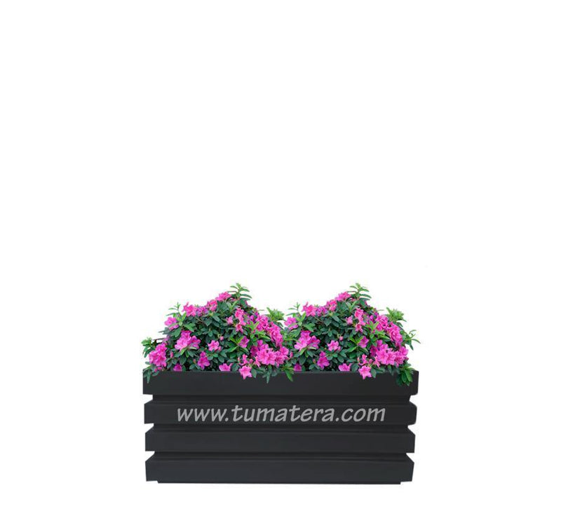 COMBO JARDINERA 70 CM CON AZALEAS - Tumatera.co
