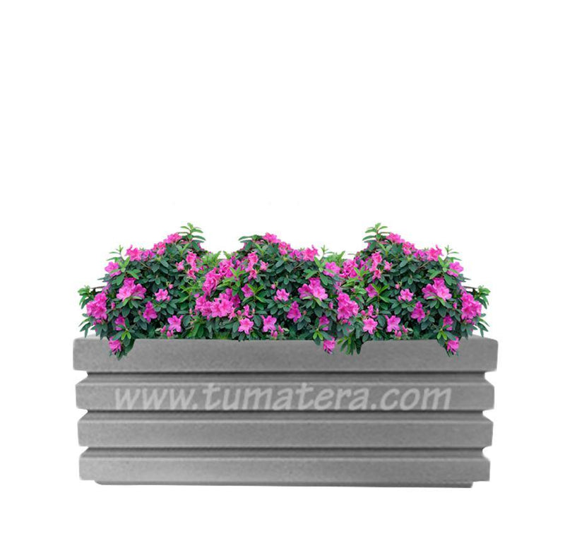 COMBO JARDINERA 100 X 45 CM CON AZALEAS - Tumatera.co