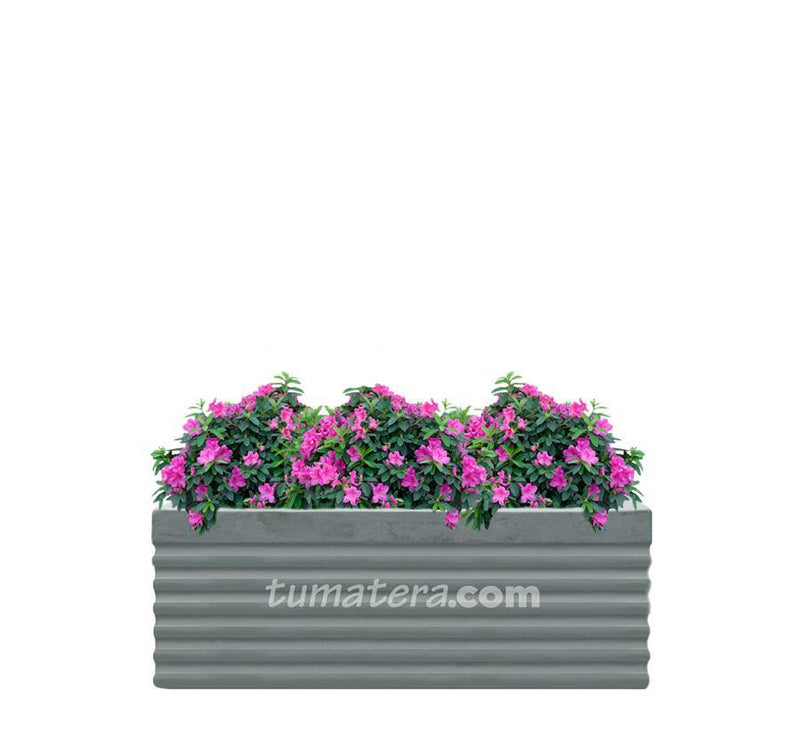 COMBO JARDINERA CEMENTO 90 CM CON AZALEAS - Tumatera.co