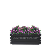 COMBO JARDINERA 90 CM CON AZALEAS - Tumatera.co