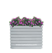 COMBO JARDINERA 100 X 60 CM CON AZALEAS - Tumatera.co