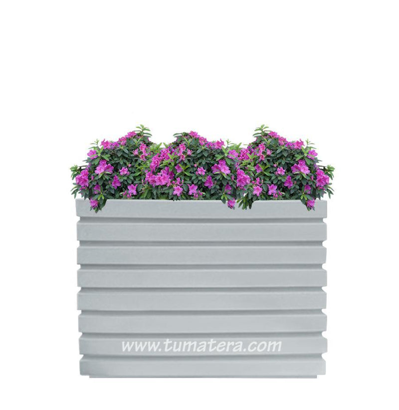 COMBO JARDINERA 100 X 60 CM CON AZALEAS - Tumatera.co