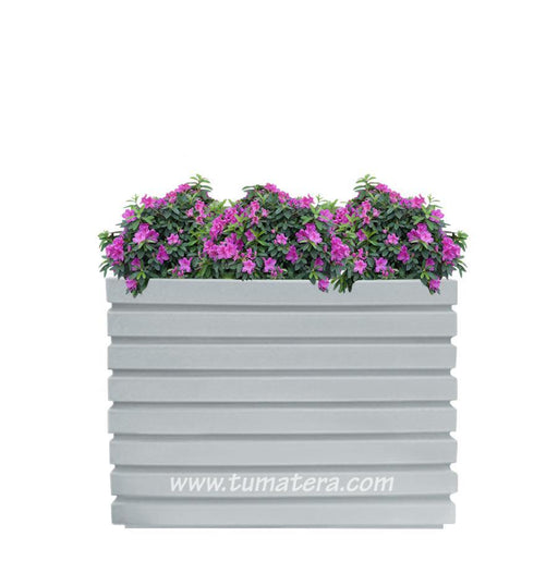 COMBO JARDINERA 100 X 60 CM CON AZALEAS - Tumatera.co