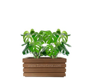 COMBO JARDINERA 70 CM CON BALAZO - Tumatera.co