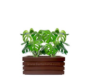 COMBO JARDINERA 70 CM CON BALAZO - Tumatera.co