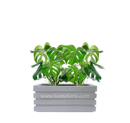COMBO JARDINERA 70 CM CON BALAZO - Tumatera.co