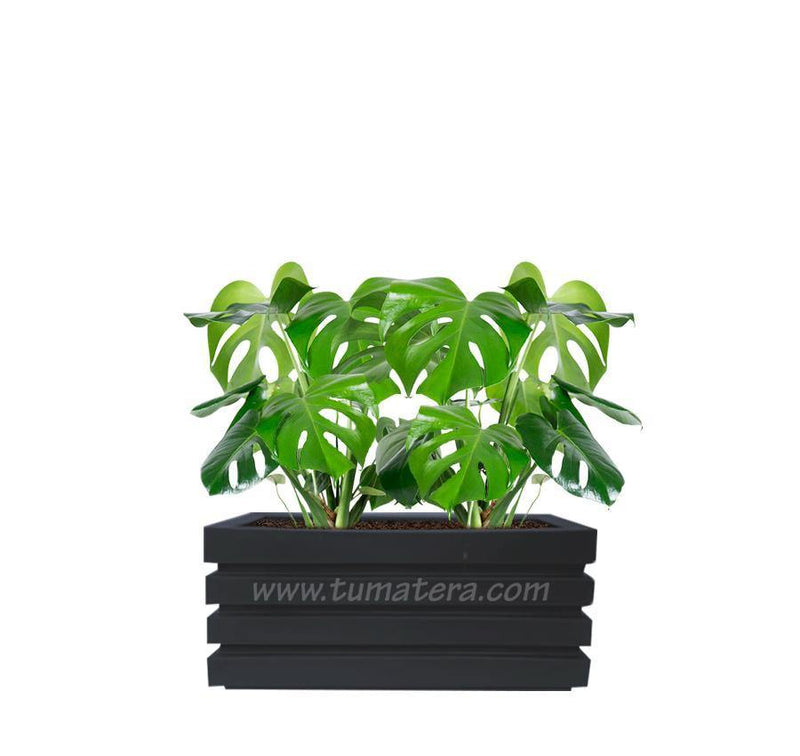 COMBO JARDINERA 70 CM CON BALAZO - Tumatera.co