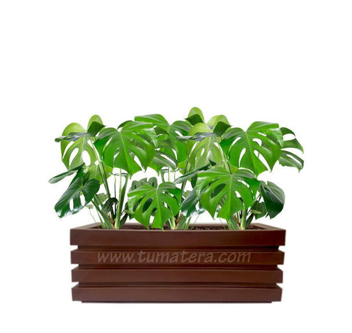 COMBO JARDINERA 90 CM CON BALAZO - Tumatera.co