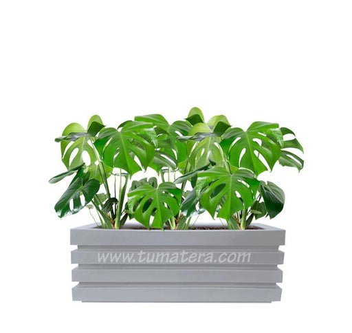 COMBO JARDINERA 90 CM CON BALAZO - Tumatera.co