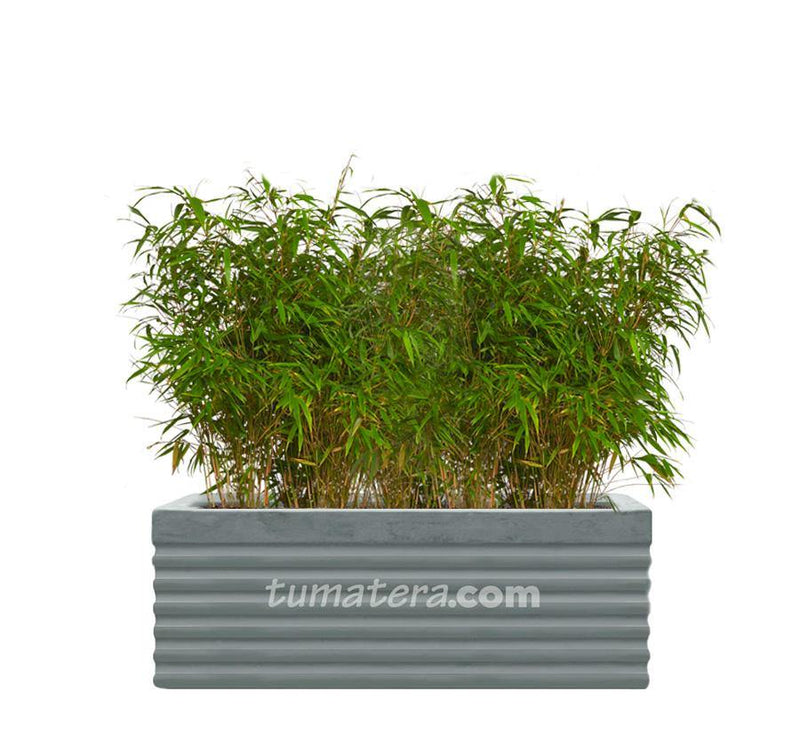COMBO JARDINERA CEMENTO 90 CM CON BAMBUS - Tumatera.co