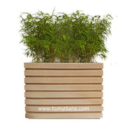 COMBO JARDINERA 100 X 60 CM CON BAMBUS - Tumatera.co