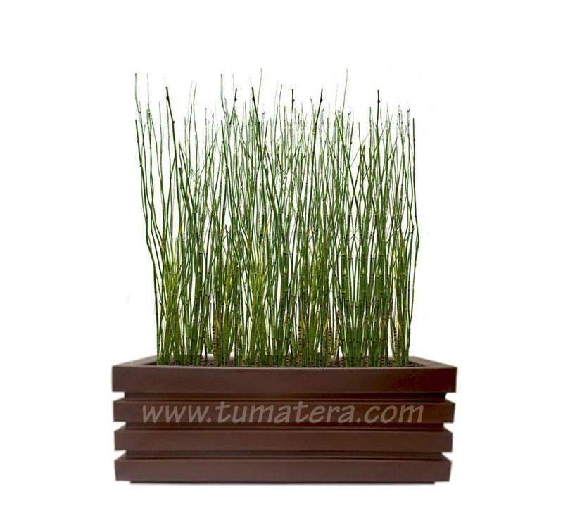 COMBO JARDINERA 90 CM CON EQUISETUM - Tumatera.co