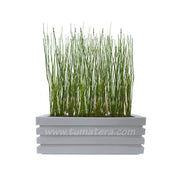 COMBO JARDINERA 90 CM CON EQUISETUM - Tumatera.co