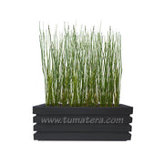 COMBO JARDINERA 90 CM CON EQUISETUM - Tumatera.co