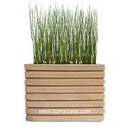COMBO JARDINERA 100 X 60 CM CON EQUISETUM - Tumatera.co