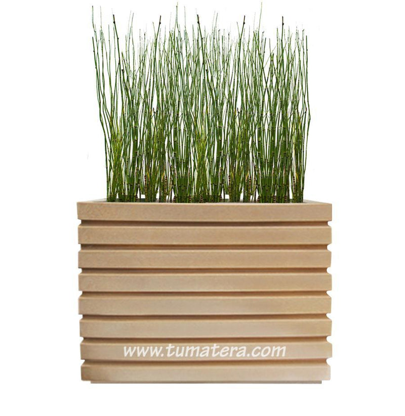 COMBO JARDINERA 100 X 60 CM CON EQUISETUM - Tumatera.co
