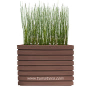 COMBO JARDINERA 100 X 60 CM CON EQUISETUM - Tumatera.co