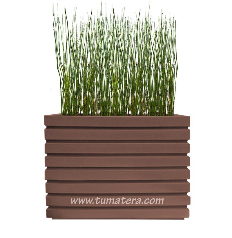 COMBO JARDINERA 100 X 60 CM CON EQUISETUM - Tumatera.co