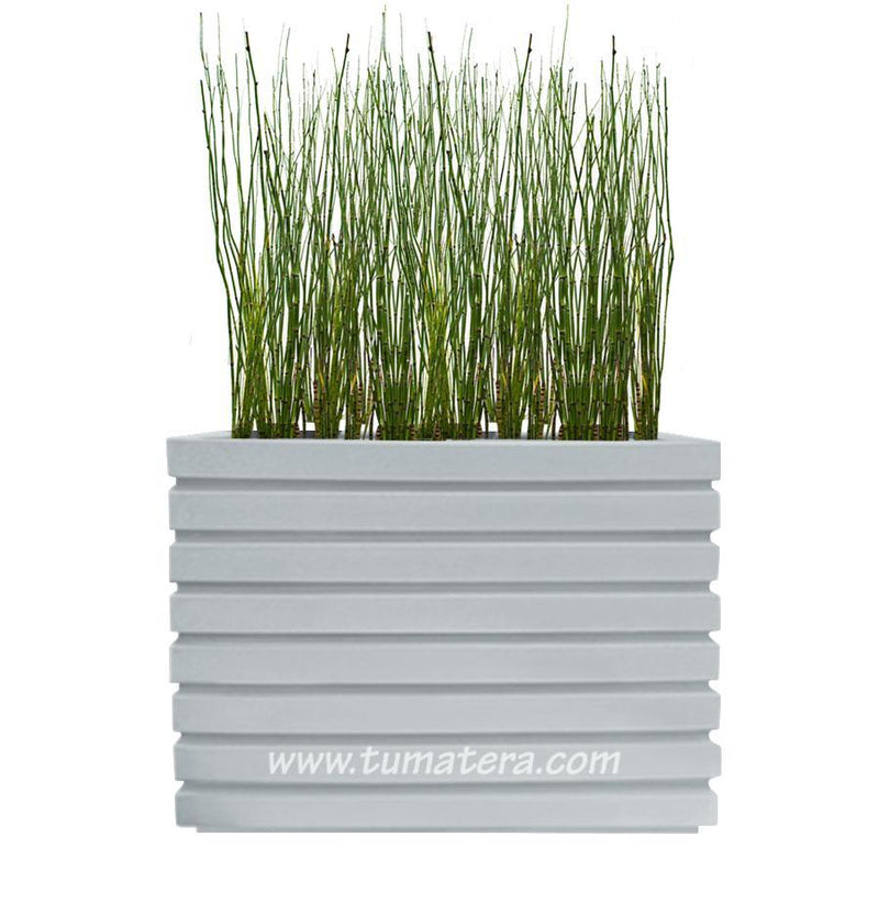 COMBO JARDINERA 100 X 60 CM CON EQUISETUM - Tumatera.co