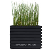 COMBO JARDINERA 100 X 60 CM CON EQUISETUM - Tumatera.co