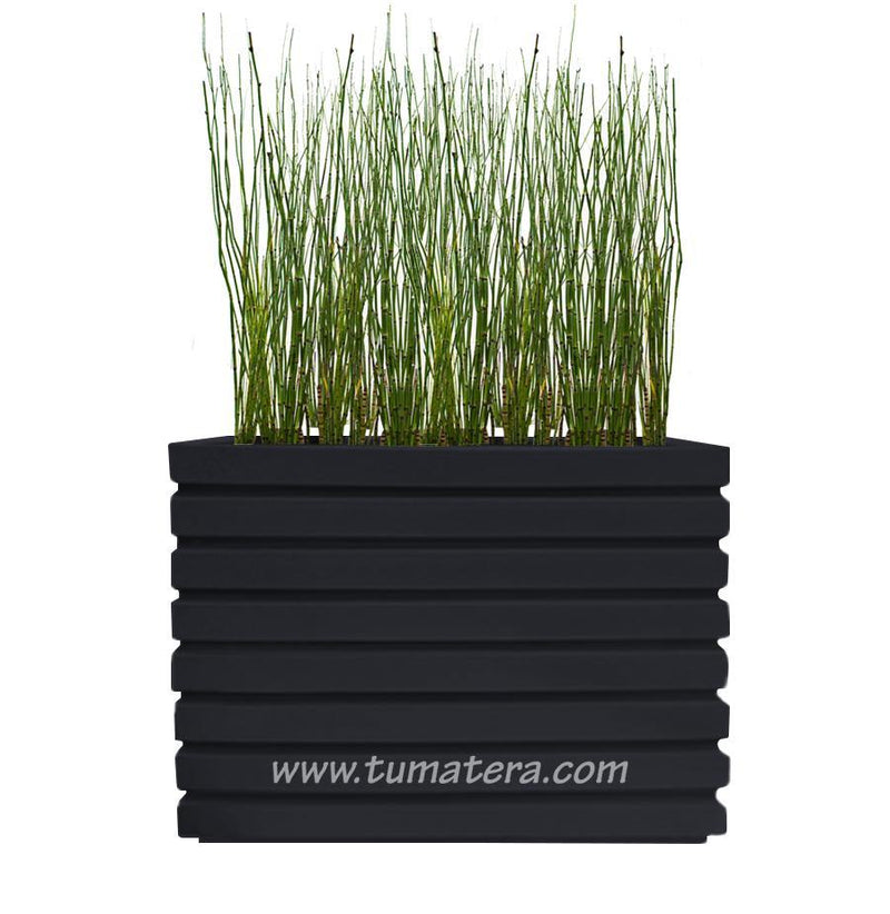 COMBO JARDINERA 100 X 60 CM CON EQUISETUM - Tumatera.co