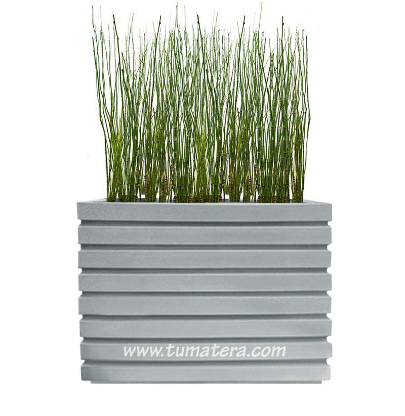 COMBO JARDINERA 100 X 60 CM CON EQUISETUM - Tumatera.co