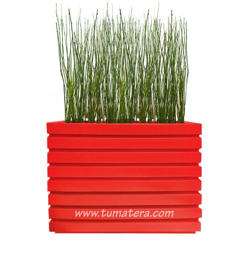 COMBO JARDINERA 100 X 60 CM CON EQUISETUM - Tumatera.co