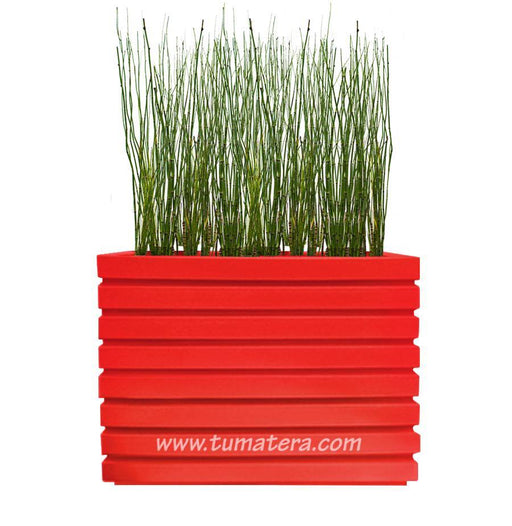 COMBO JARDINERA 100 X 60 CM CON EQUISETUM - Tumatera.co