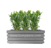 COMBO JARDINERA 100 X 45 CM CON BUXUS - Tumatera.co