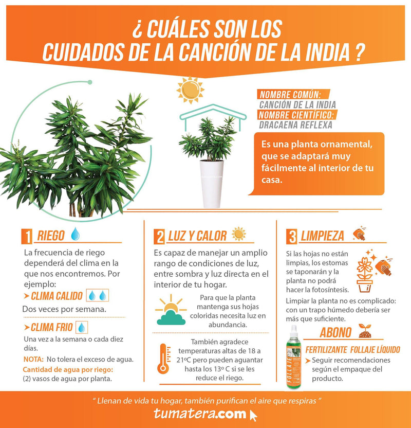 COMBO TUBUS 76 CM CON CANCIÓN DE LA INDIA - Tumatera.co