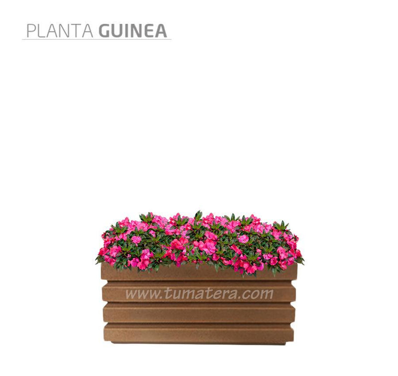COMBO JARDINERA 70 CM CON FLORES - Tumatera.co