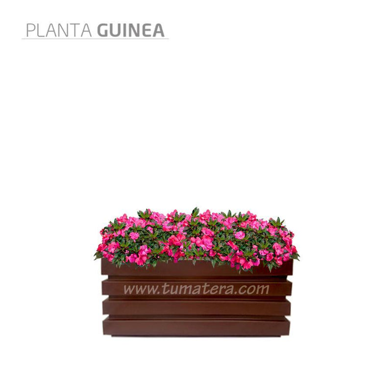 COMBO JARDINERA 70 CM CON FLORES - Tumatera.co