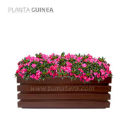COMBO JARDINERA 100 X 45 CM CON FLORES - Tumatera.co