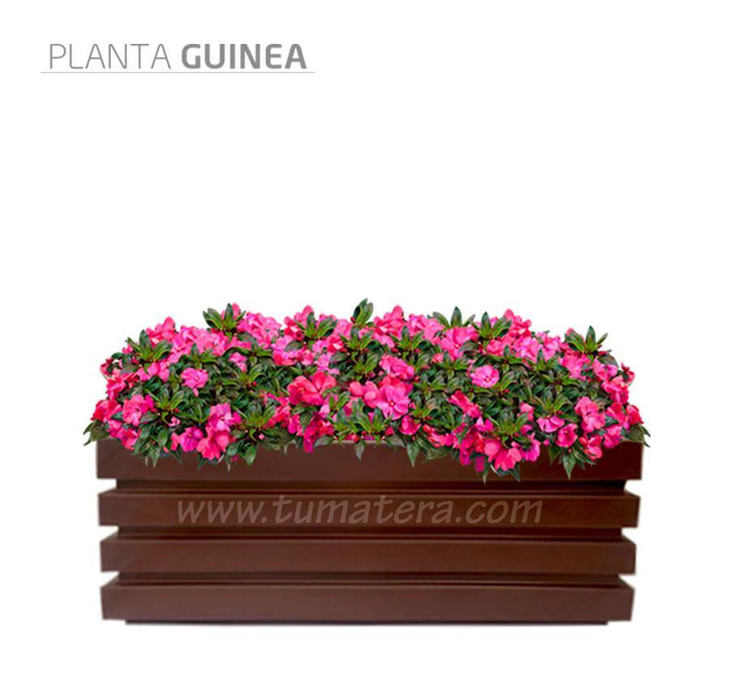 COMBO JARDINERA 100 X 45 CM CON FLORES - Tumatera.co