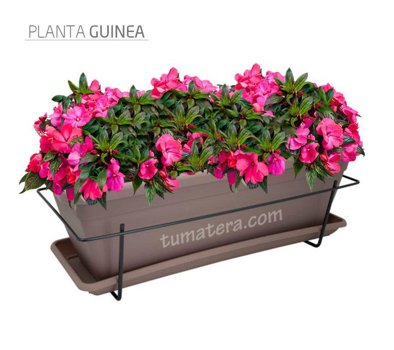 COMBO VENEZA BALCÓN 50 CM CON FLORES - Tumatera.co