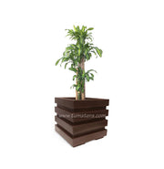 COMBO CUBO 48 CM CON PALO BRASIL - Tumatera.co