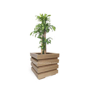COMBO CUBO 48 CM CON PALO BRASIL - Tumatera.co
