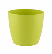 MATERA SAN REMO 20 CM - Tumatera.co