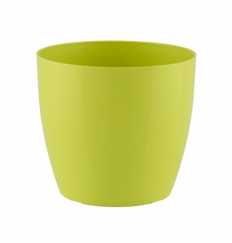 MATERA SAN REMO 20 CM - Tumatera.co