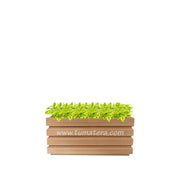 COMBO JARDINERA 70 CM CON DURANTAS - Tumatera.co