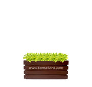 COMBO JARDINERA 70 CM CON DURANTAS - Tumatera.co