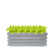 COMBO JARDINERA 100 X 45 CM CON DURANTAS - Tumatera.co