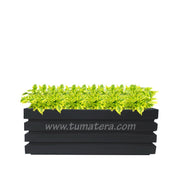 COMBO JARDINERA 100 X 45 CM CON DURANTAS - Tumatera.co