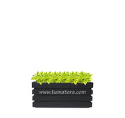 COMBO JARDINERA 70 CM CON DURANTAS - Tumatera.co